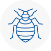 Bed Bug Extermination In Bushey