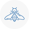 Bee Nest Removal Bushey