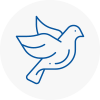 Bird Prevention Bushey