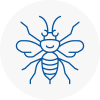 Bushey Hornet Nest Removals