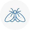 Moth Control Specialists In Bushey