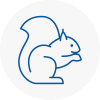 Bushey Rodent Removals