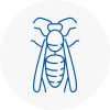 Bushey Wasp Nest Removal